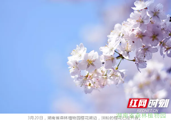 AG旗舰厅(中国游)官方网站