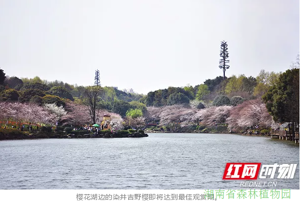 AG旗舰厅(中国游)官方网站