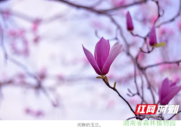 AG旗舰厅(中国游)官方网站
