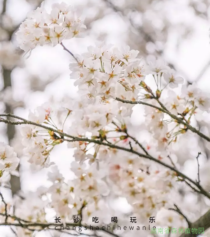 AG旗舰厅(中国游)官方网站