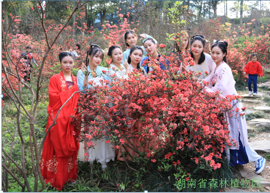 AG旗舰厅(中国游)官方网站