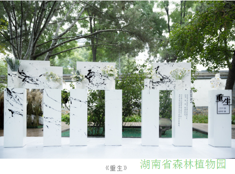 AG旗舰厅(中国游)官方网站