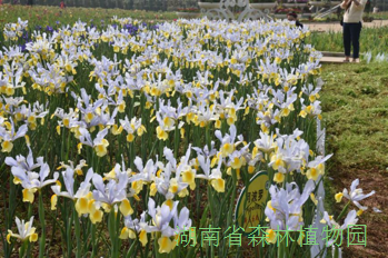 AG旗舰厅(中国游)官方网站
