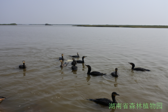 AG旗舰厅(中国游)官方网站
