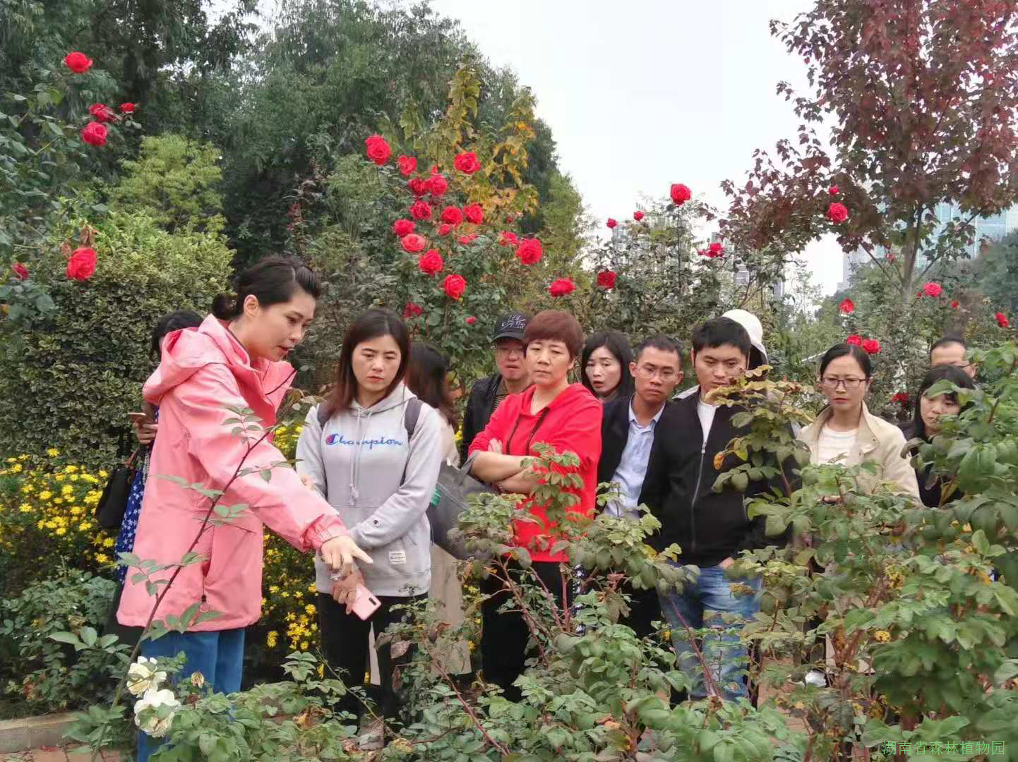 AG旗舰厅(中国游)官方网站