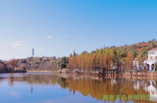 AG旗舰厅(中国游)官方网站