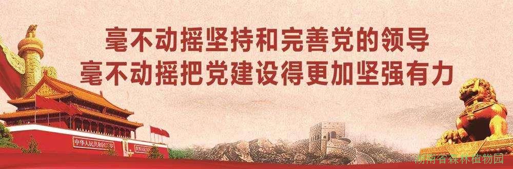 AG旗舰厅(中国游)官方网站