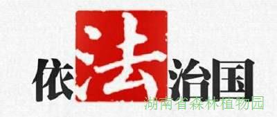 AG旗舰厅(中国游)官方网站