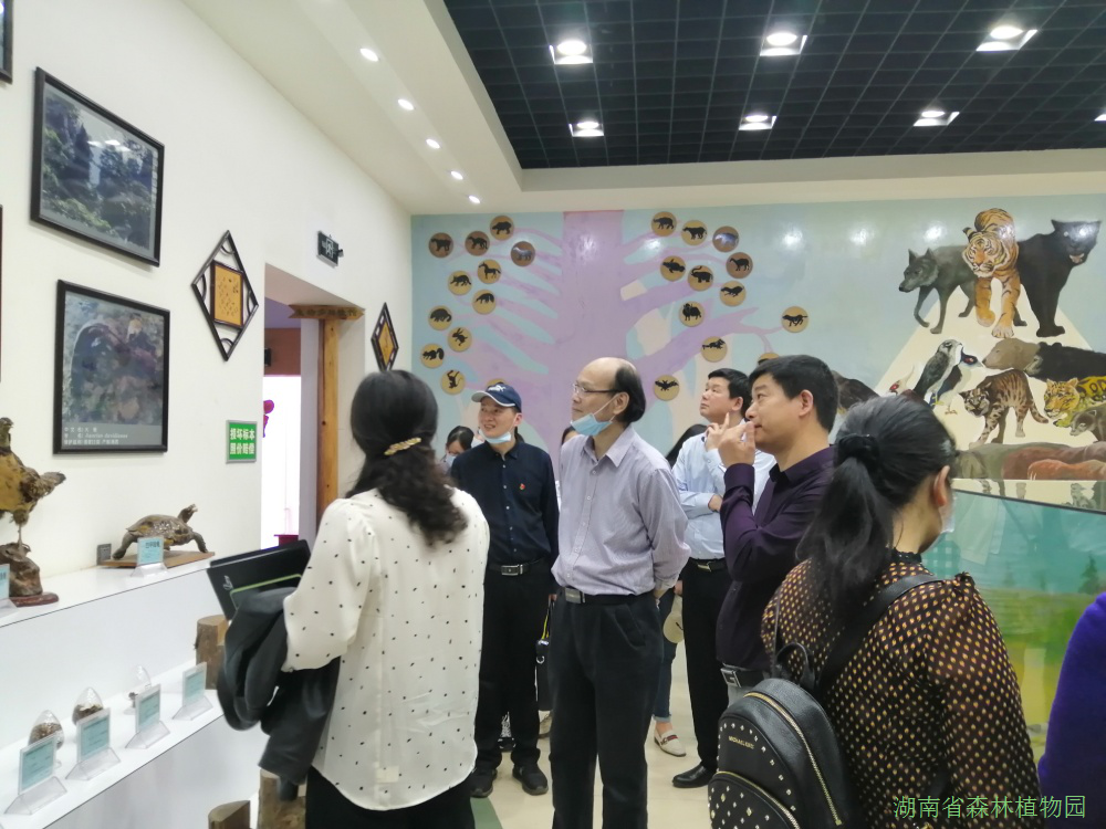 AG旗舰厅(中国游)官方网站