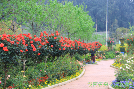 AG旗舰厅(中国游)官方网站