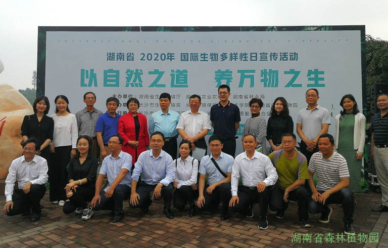 AG旗舰厅(中国游)官方网站