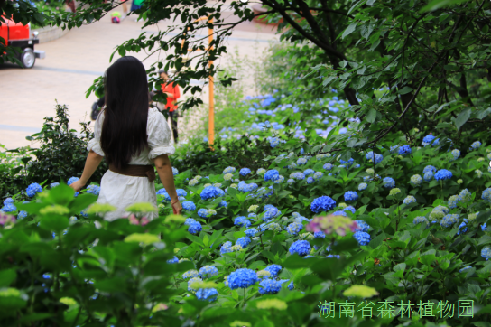 AG旗舰厅(中国游)官方网站