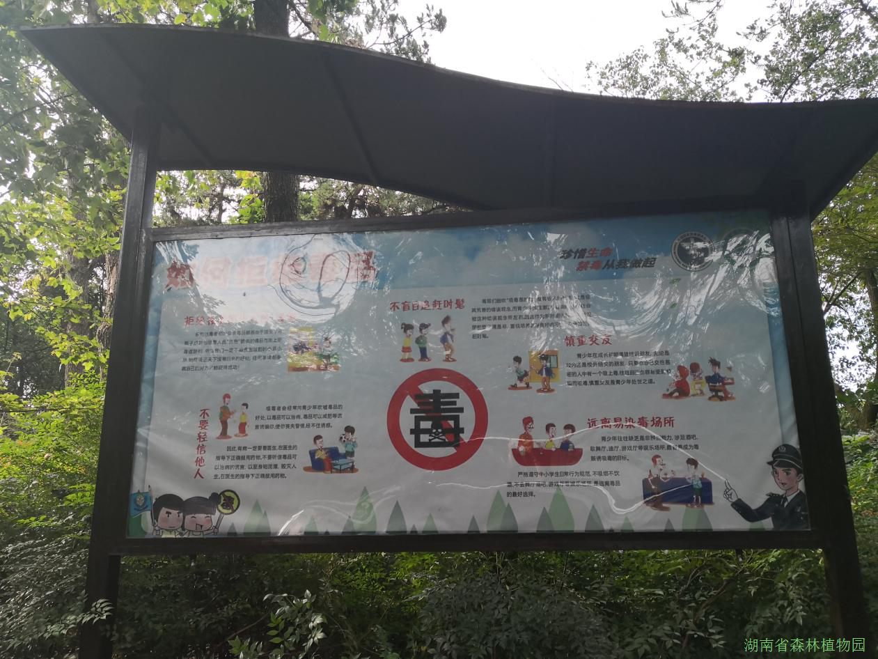 AG旗舰厅(中国游)官方网站
