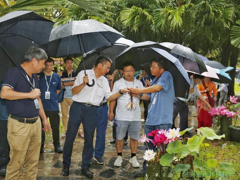 AG旗舰厅(中国游)官方网站