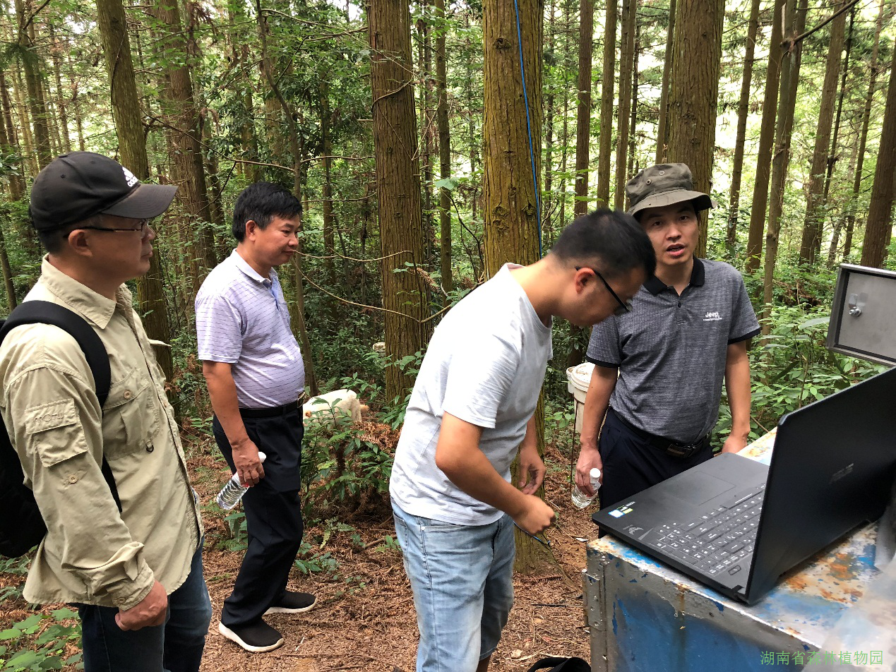 AG旗舰厅(中国游)官方网站