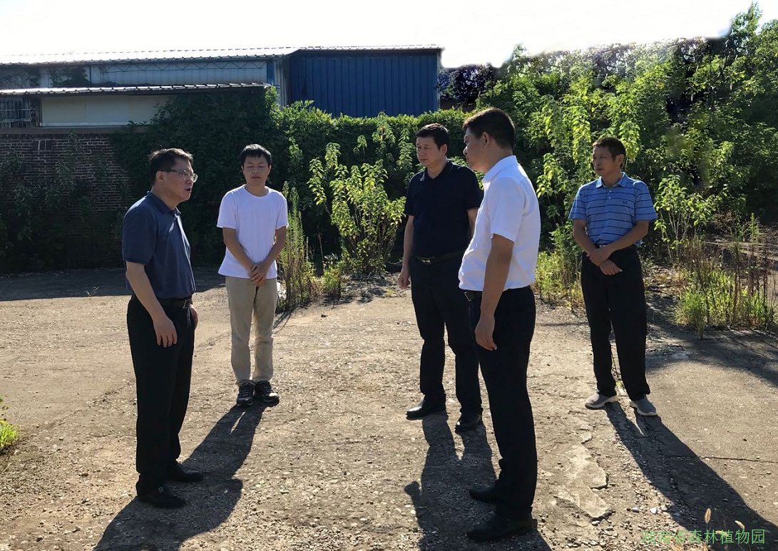 AG旗舰厅(中国游)官方网站