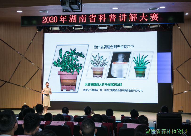 AG旗舰厅(中国游)官方网站