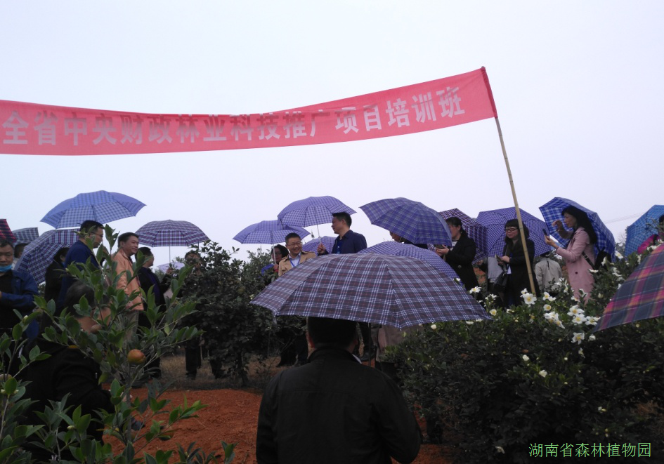 AG旗舰厅(中国游)官方网站