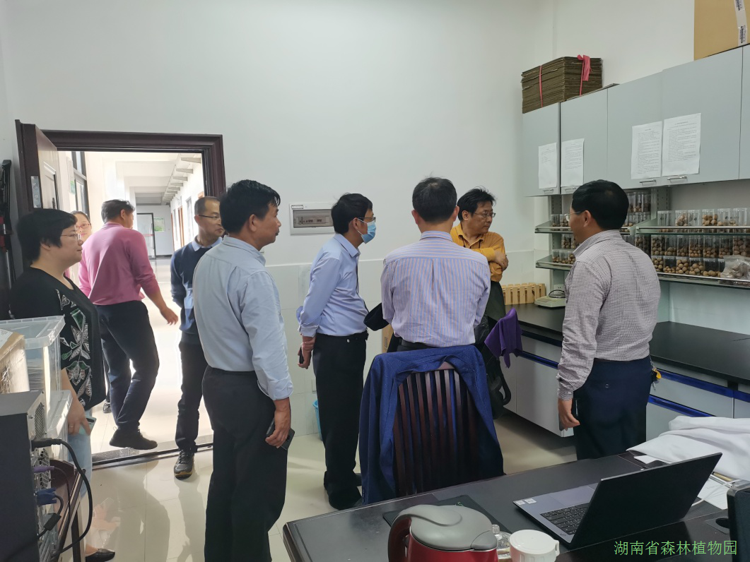 AG旗舰厅(中国游)官方网站