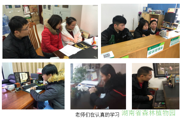 AG旗舰厅(中国游)官方网站