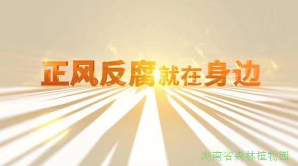 AG旗舰厅(中国游)官方网站