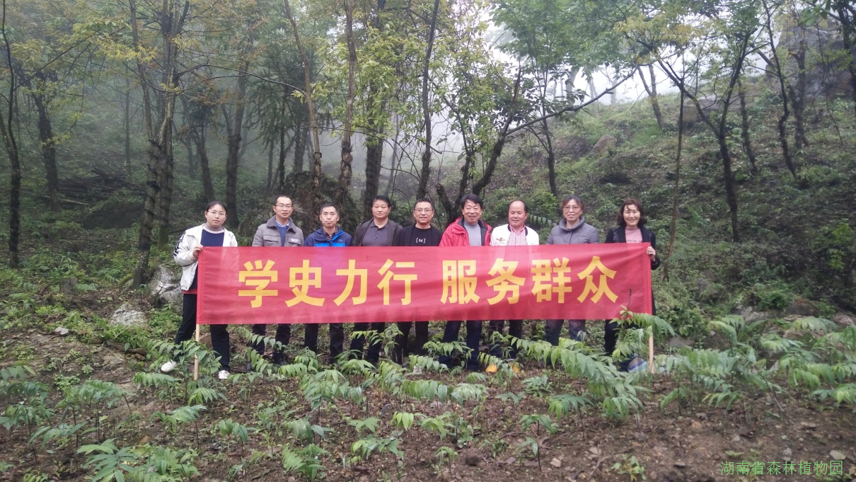 AG旗舰厅(中国游)官方网站