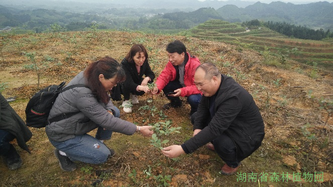 AG旗舰厅(中国游)官方网站
