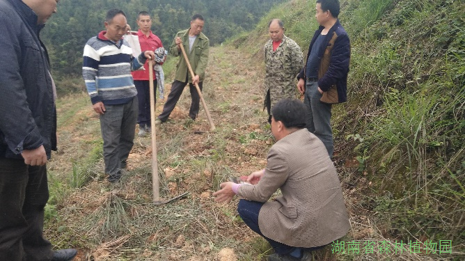 AG旗舰厅(中国游)官方网站