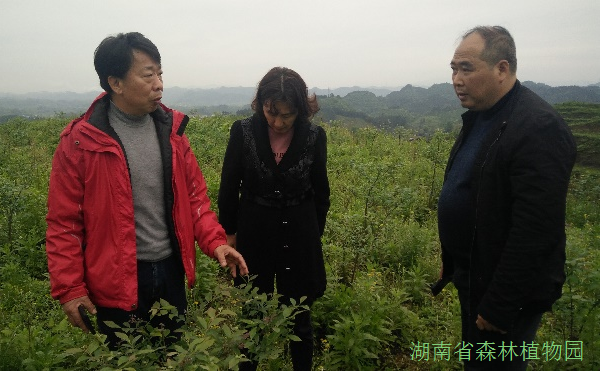 AG旗舰厅(中国游)官方网站