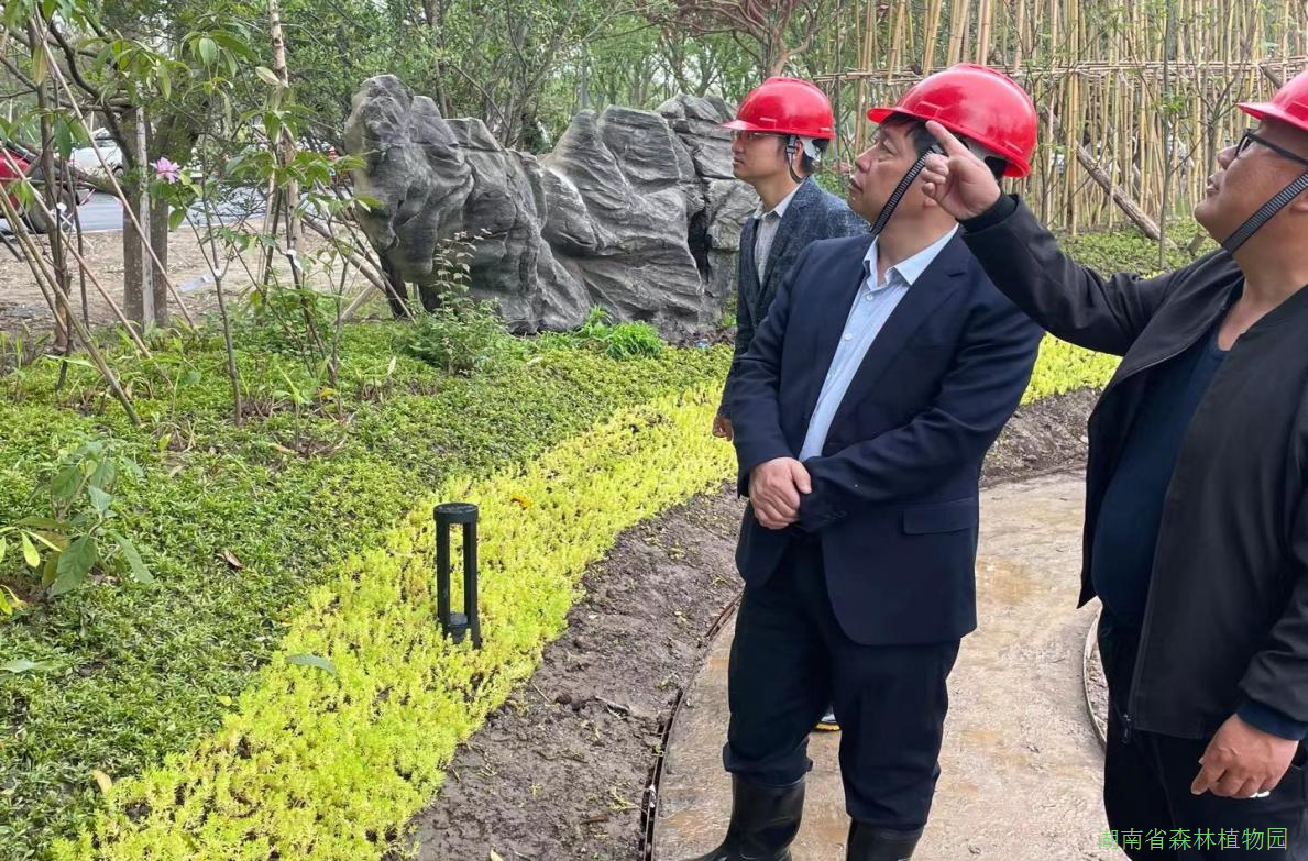 AG旗舰厅(中国游)官方网站