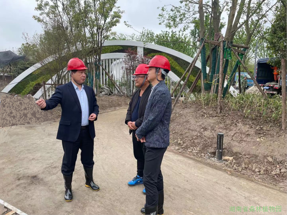 AG旗舰厅(中国游)官方网站