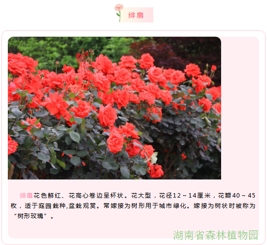 AG旗舰厅(中国游)官方网站