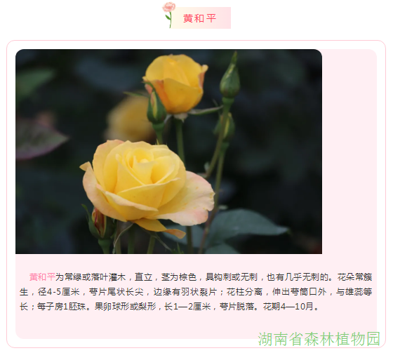 AG旗舰厅(中国游)官方网站