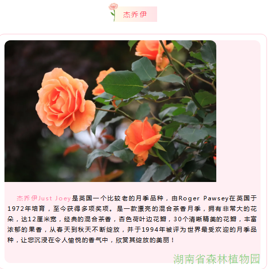 AG旗舰厅(中国游)官方网站