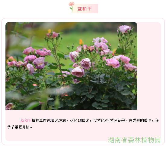 AG旗舰厅(中国游)官方网站