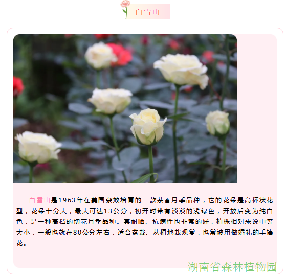 AG旗舰厅(中国游)官方网站