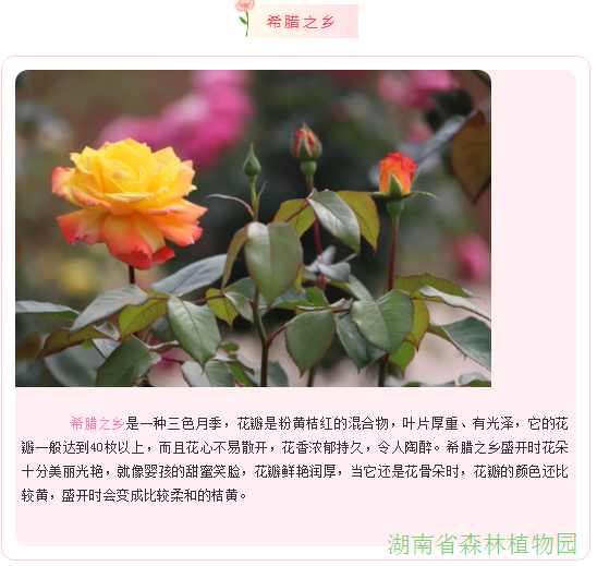 AG旗舰厅(中国游)官方网站