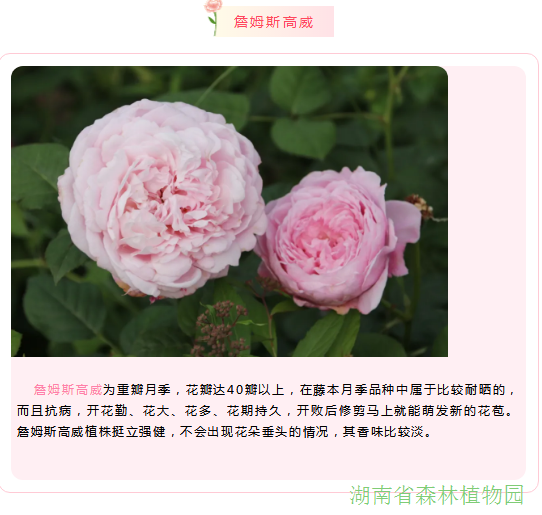 AG旗舰厅(中国游)官方网站