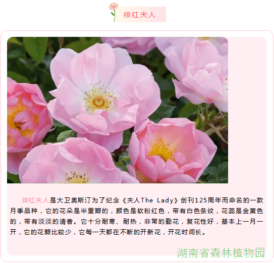 AG旗舰厅(中国游)官方网站