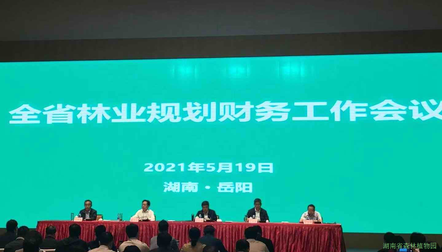 AG旗舰厅(中国游)官方网站