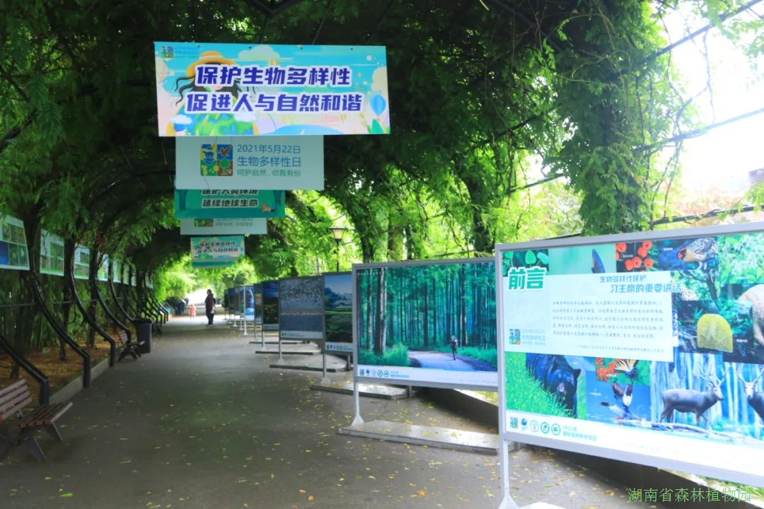 AG旗舰厅(中国游)官方网站