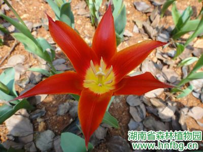 AG旗舰厅(中国游)官方网站