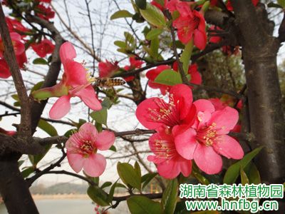 AG旗舰厅(中国游)官方网站