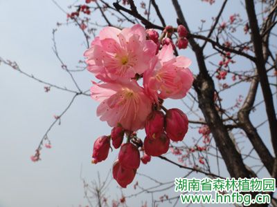 AG旗舰厅(中国游)官方网站