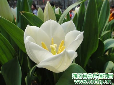 AG旗舰厅(中国游)官方网站