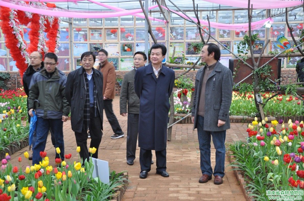 AG旗舰厅(中国游)官方网站