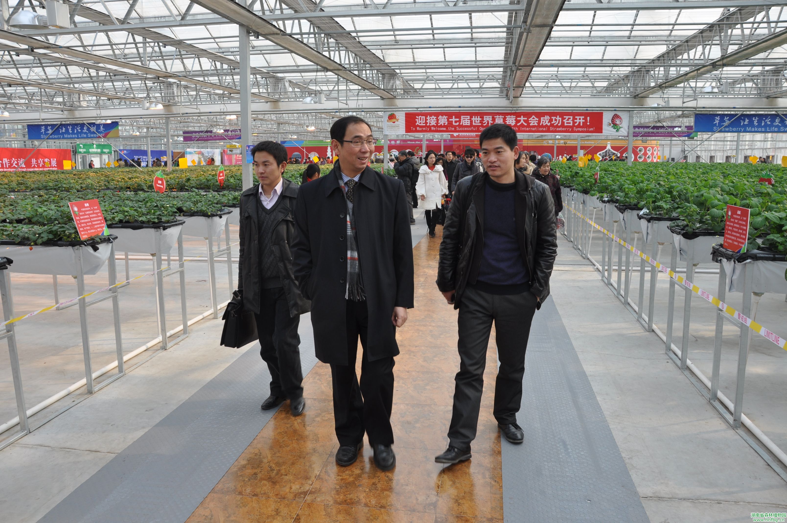 AG旗舰厅(中国游)官方网站