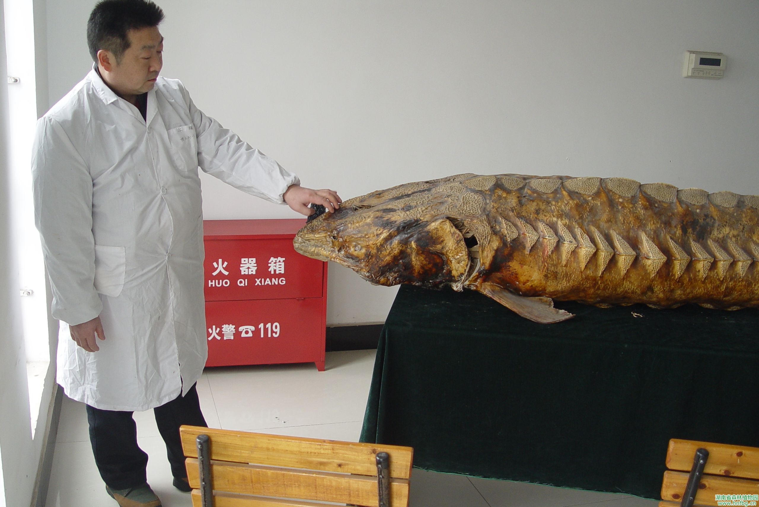 AG旗舰厅(中国游)官方网站