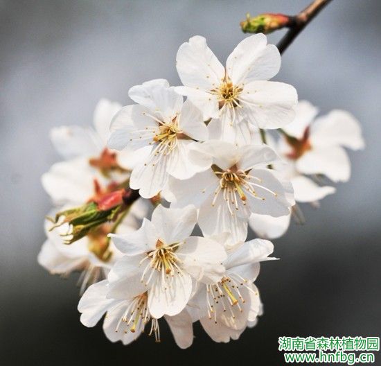 AG旗舰厅(中国游)官方网站