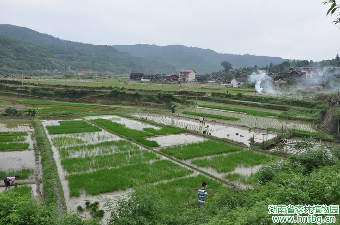 AG旗舰厅(中国游)官方网站